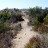 DSC02062EndOfTrail