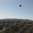 DSC02086EaglesFly
