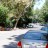 DSC01986UpFerndalePark