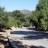 DSC01993RoadwayToMtHwd