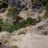 DSC02034TrailGoesDownSteeply